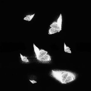 女帝被c呻吟双腿大开H视频
